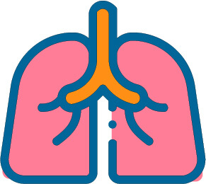 pulmonary lungs